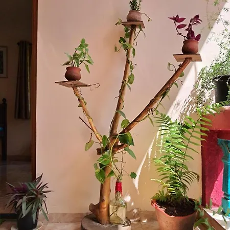 Bageecha B&B- Vaayu Alibag Exterior photo