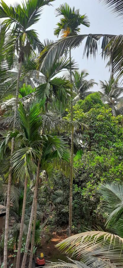 Bageecha B&b- Vaayu Homestay *