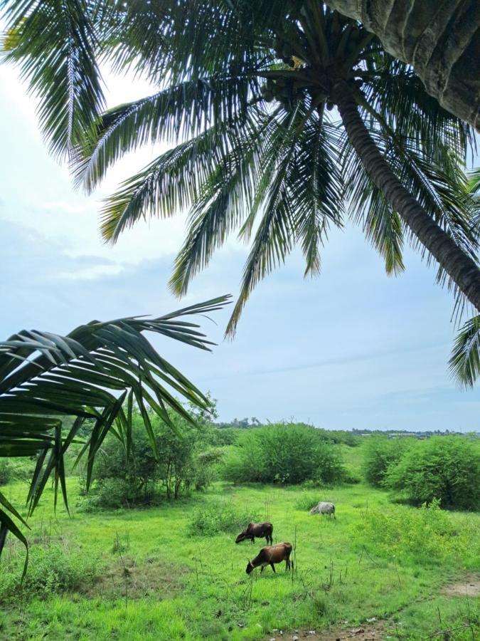 Homestay Bageecha B&b- Vaayu