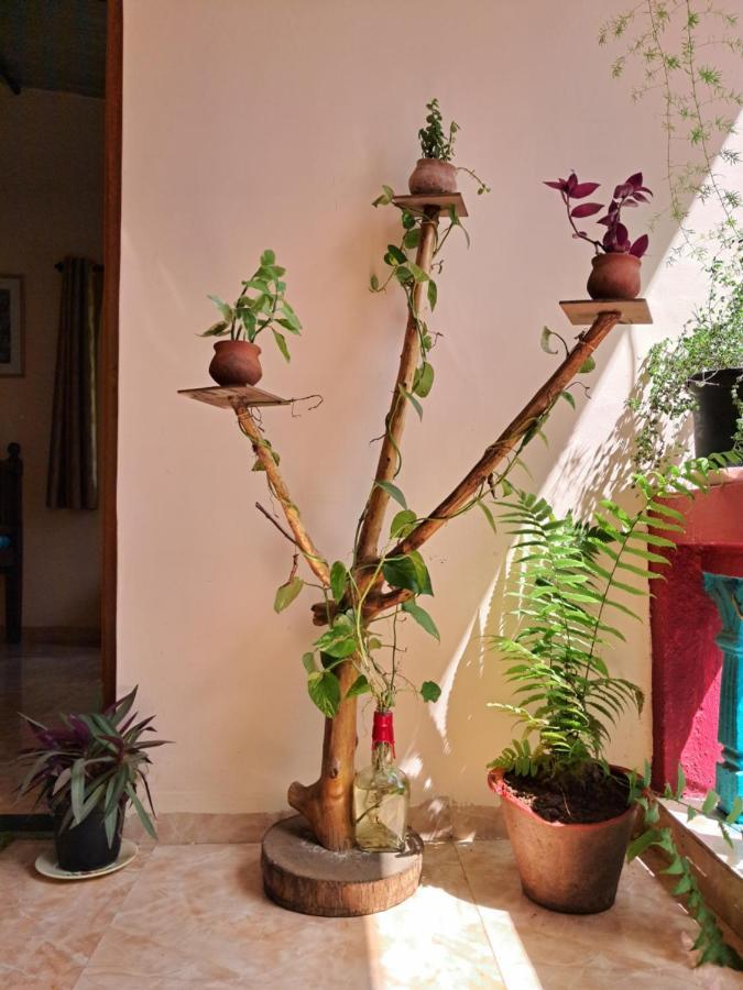 Homestay Bageecha B&b- Vaayu