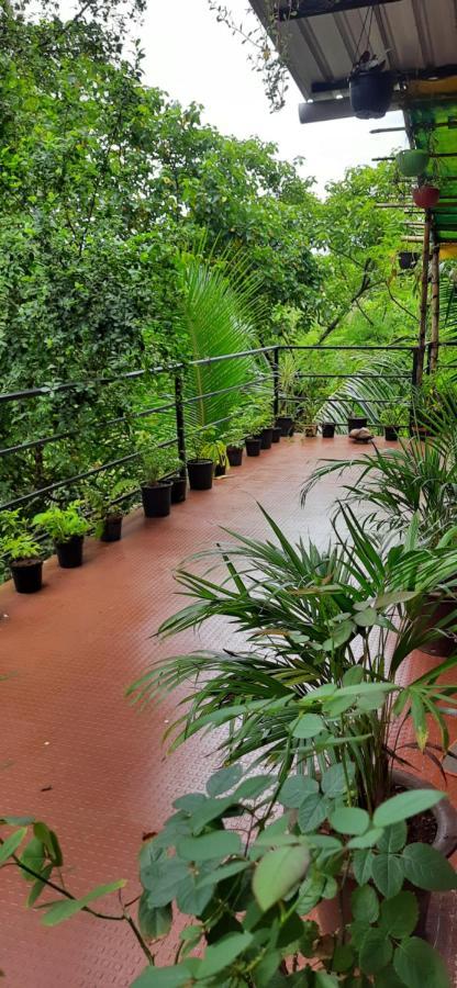 Homestay Bageecha B&b- Vaayu Alibag