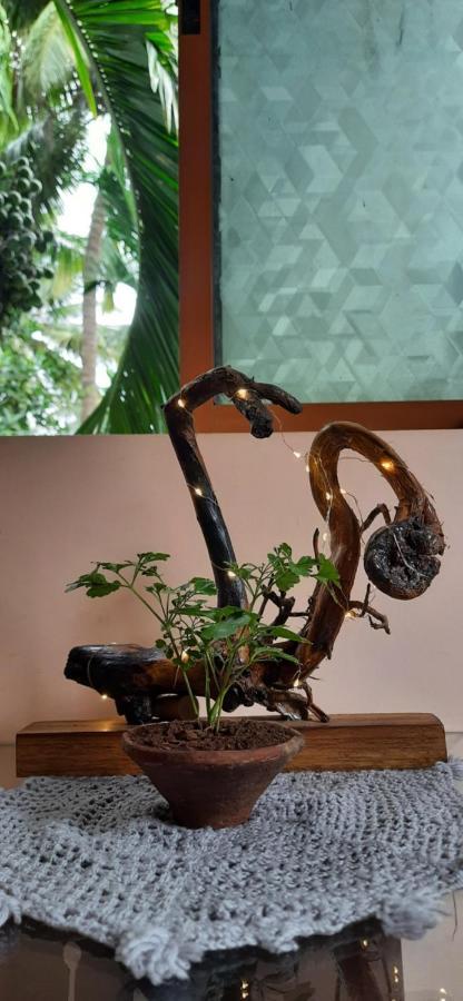 Homestay Bageecha B&b- Vaayu