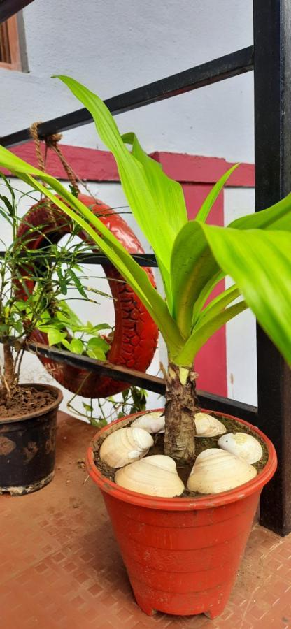 Bageecha B&b- Vaayu *