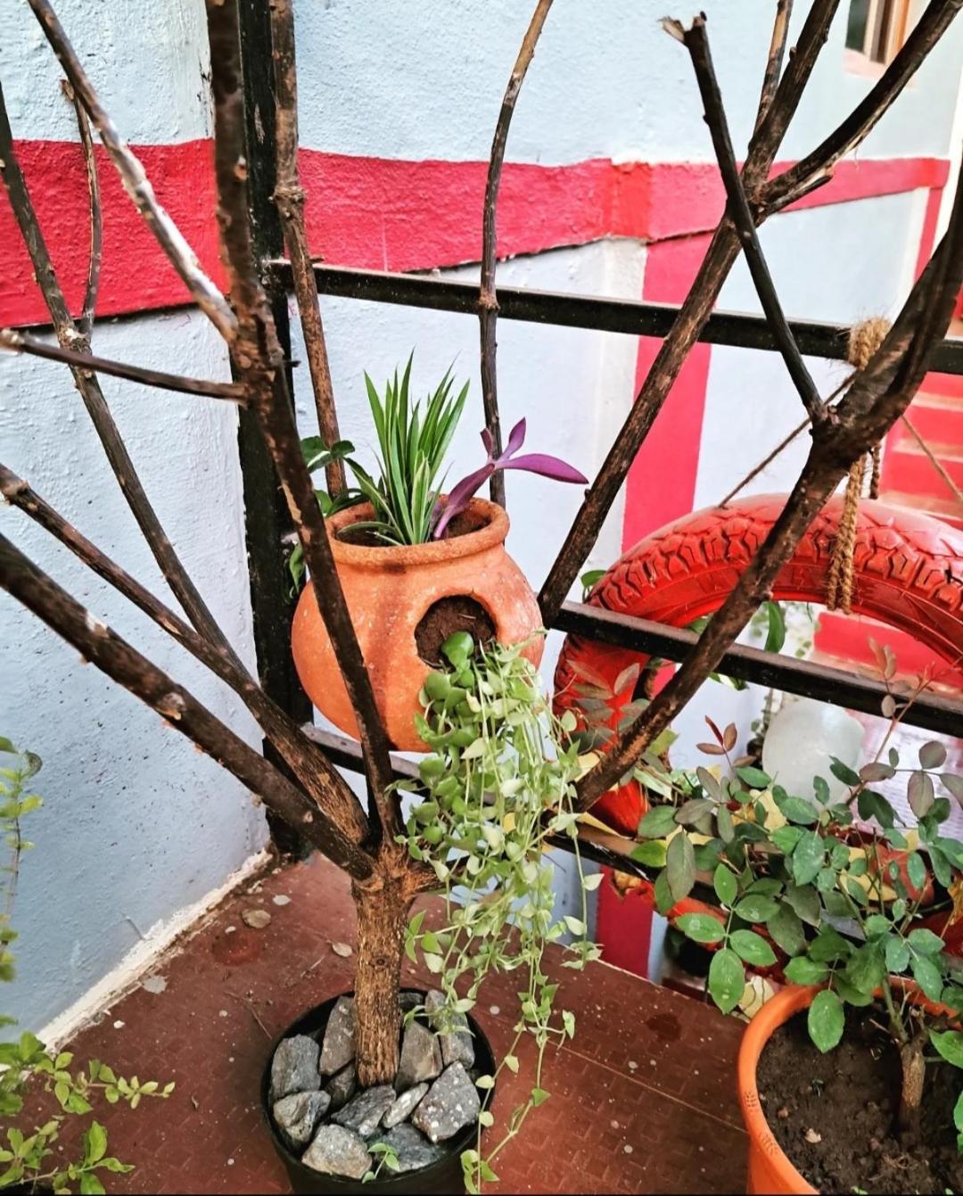 Bageecha B&b- Vaayu * Alibag